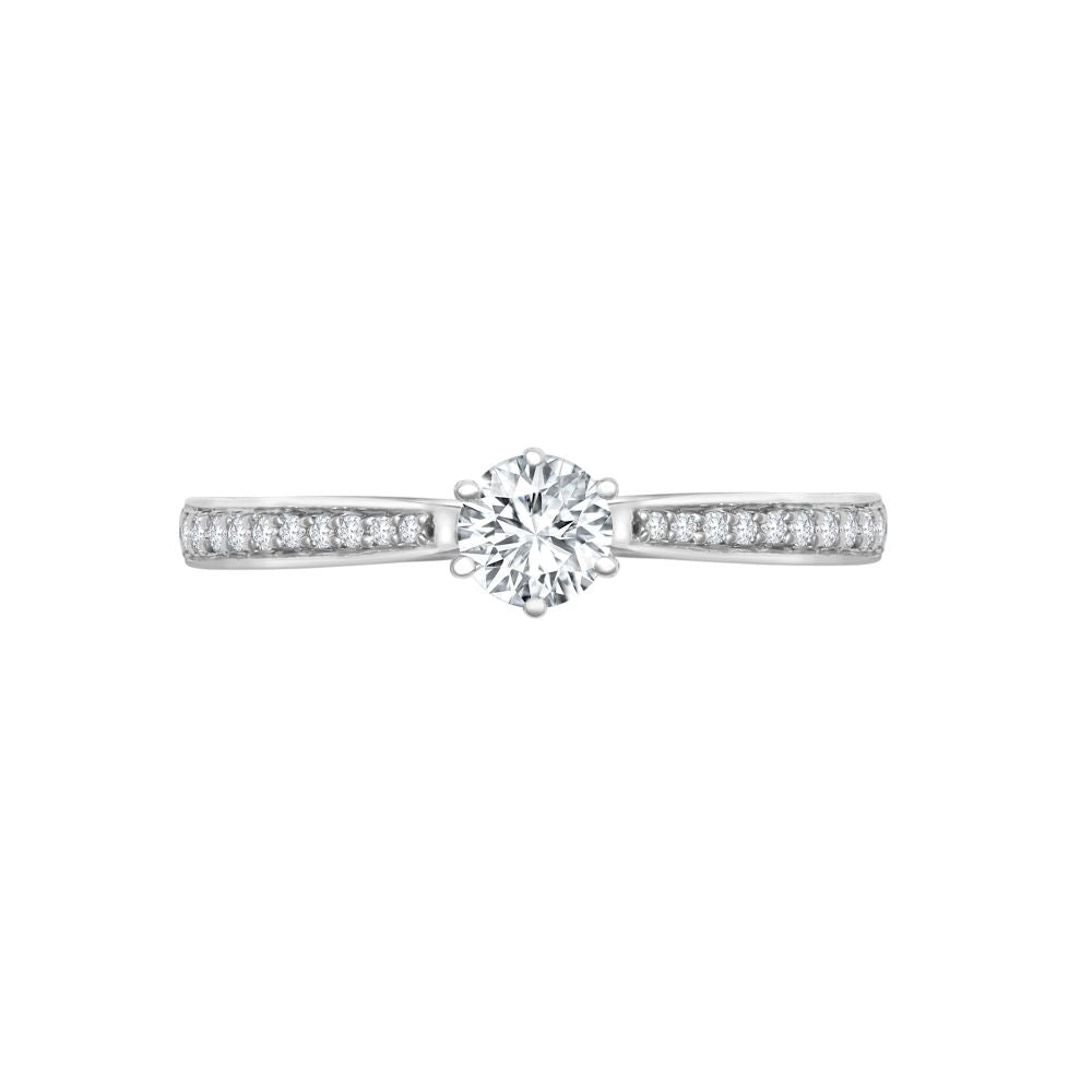 18ct White Gold 0.24ct Natural Diamond Pave set 6-claw Ring Mount- Holds 0.25ct