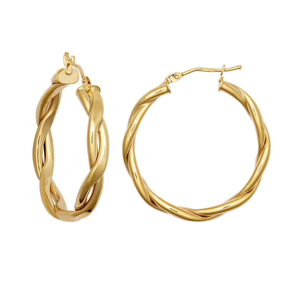 9ct Yellow Double Tubed Plaited Polished hoop earring