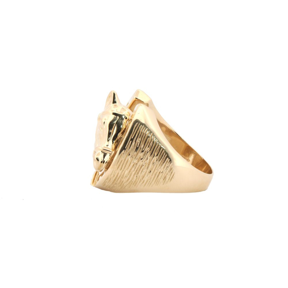 9ct Yellow Gold Horse Shoe Ring