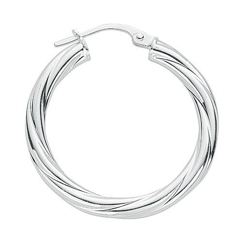 Silver Twisted Hoop Earrings