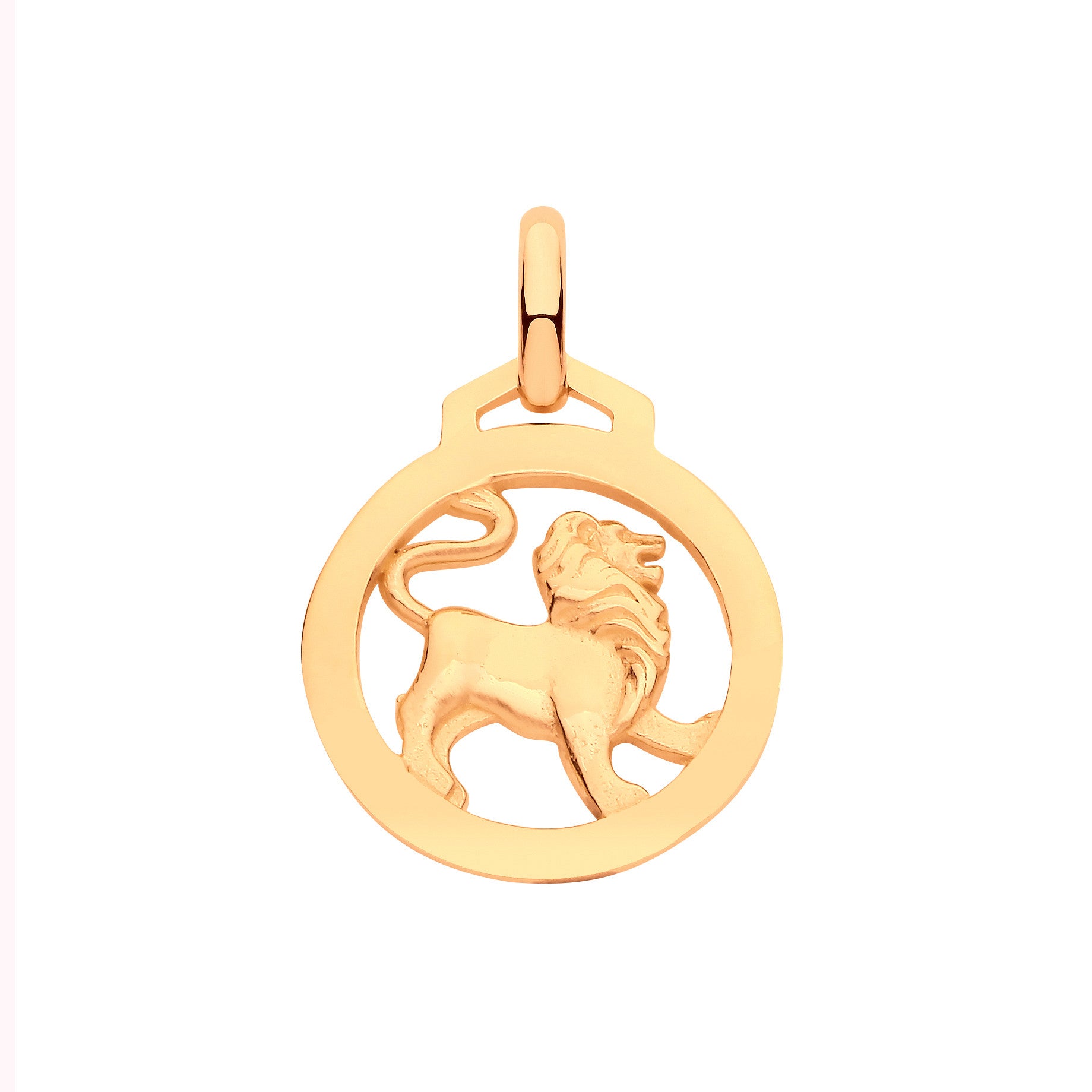 Y/G  Round Zodiac Pendant LEO