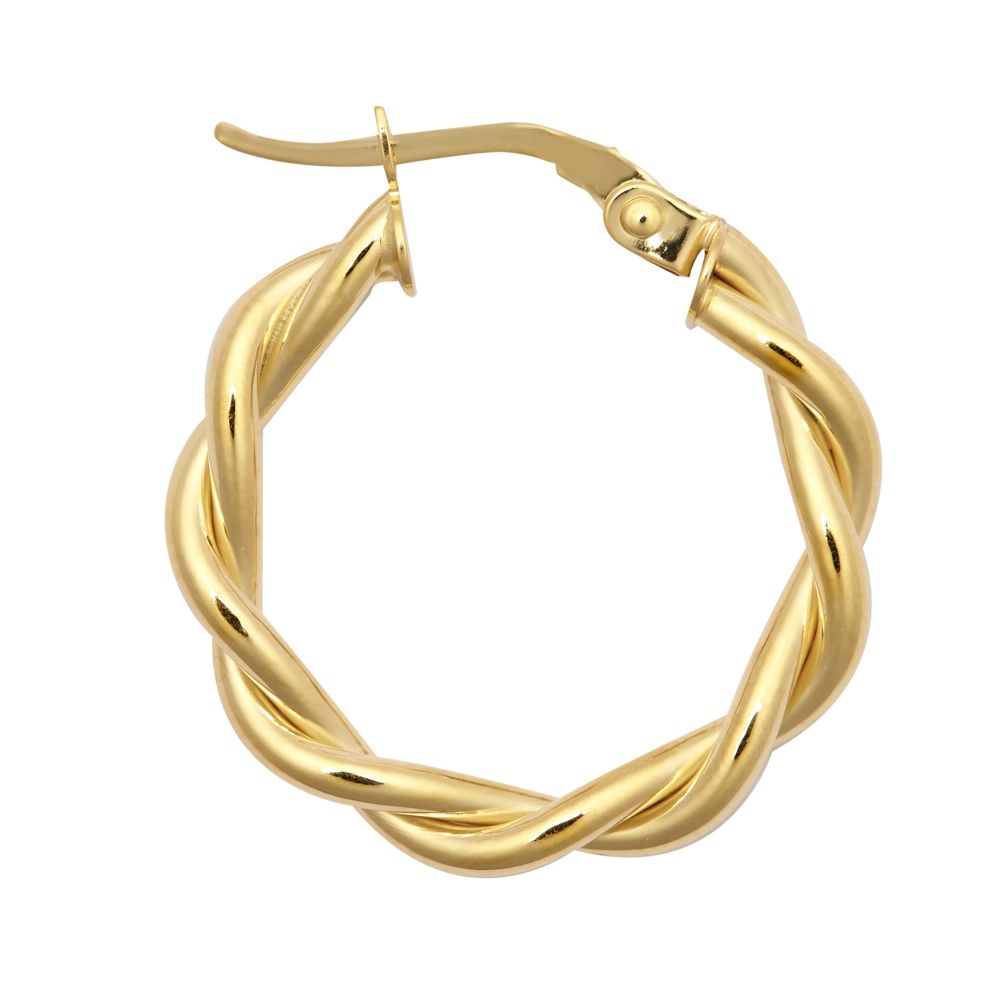 JER785B | 9ct Yellow Double Tubed Polished hoop earring
