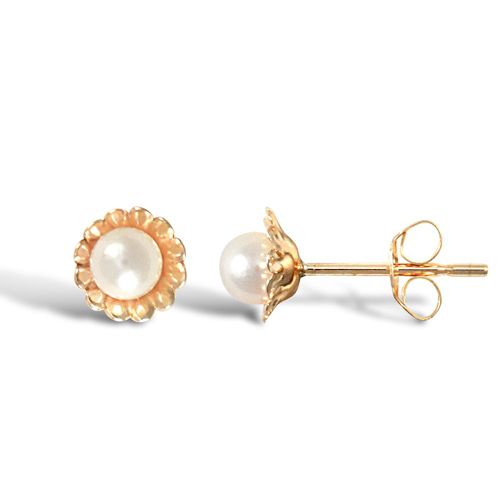 9ct Yellow Gold Stud Earrings