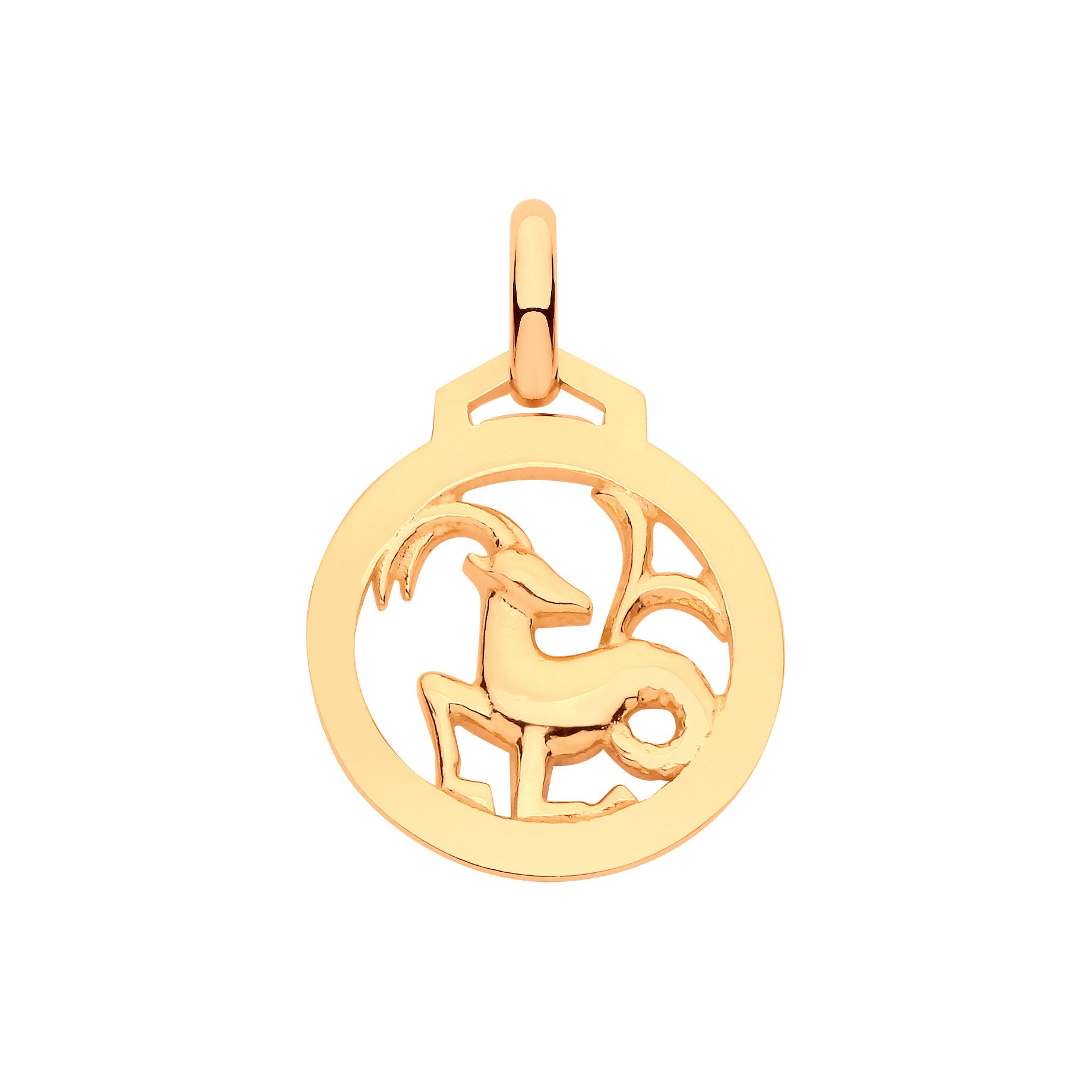 Y/G  Round Zodiac Pendant CAPRICORN